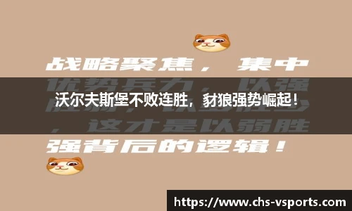 沃尔夫斯堡不败连胜，豺狼强势崛起！