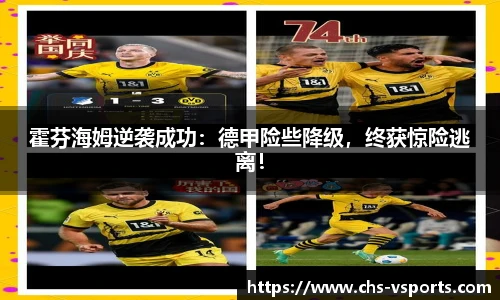 霍芬海姆逆袭成功：德甲险些降级，终获惊险逃离！