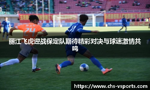 丽江飞虎迎战保定队期待精彩对决与球迷激情共鸣